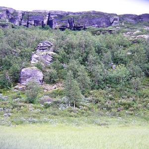 Речка белая 