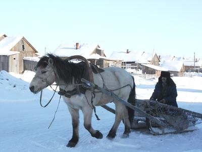 Поездка делегации ЗР в Харуту 2-6.03.09