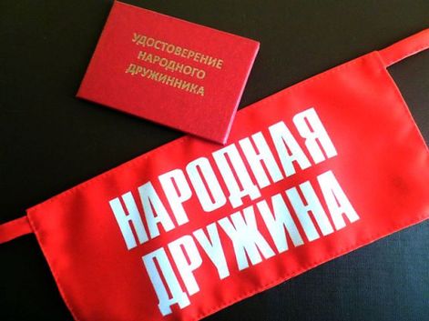 Я б в дружинники пошел …